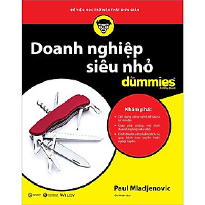 Sách - Doanh Nghiệp Siêu Nhỏ For Dummies - Thái Hà Books