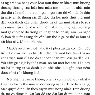 Nhân Duyên ... Mèo Định