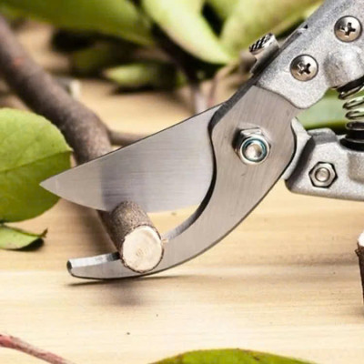 Kéo Cắt Tỉa Cành Cây Sk5 Nhật Bản Sada-210 Lưỡi Thép Không Gỉ Siêu Bén