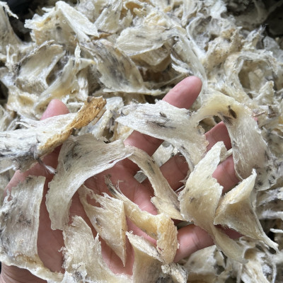 [HGK-C1] Chân Yến Sào Khánh Hoà Thô Cao Cấp - Yến Sào Hòn Gốm Chính Hiệu Khánh Hoà - HGK NEST