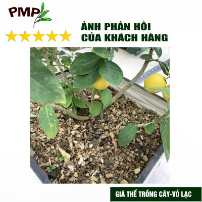 Giá thể vỏ lạc PMP phơi khô dập nhỏ để trộn đất, phủ bề mặt trồng cây 1Kg