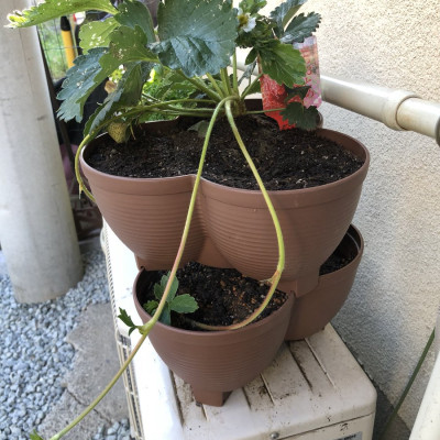 Bộ tháp trồng rau sạch tiện lợi 3 cánh Yamada 4 in 1 hàng Made in Japan 