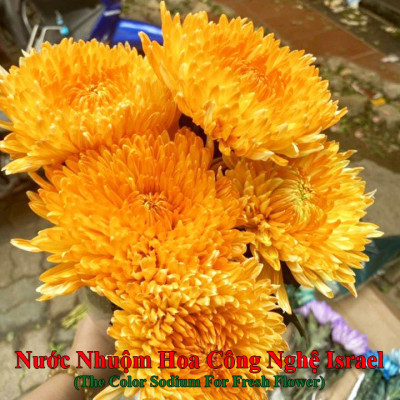 Nước Màu Nhuộm Hoa Tươi Màu Cam Israel (Chai 1 Lít) Color Sodium For Fresh Flowers