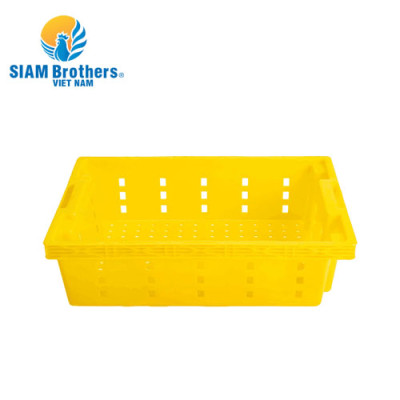 Khay nhựa đựng trái cây siêu bền Siam Brothers - Vàng