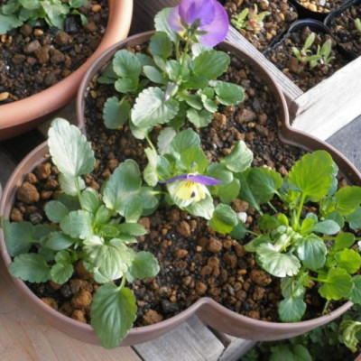 Bộ tháp trồng rau sạch tiện lợi 3 cánh Yamada 4 in 1 hàng Made in Japan 