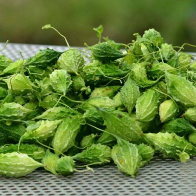 Đặc Sản Kon Tum - Khổ qua rừng nguyên trái hỗ trợ tiểu đường hiệu quả - OCOP 3 Sao