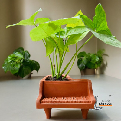Chậu Gốm Đất Nung Mini Hình Đàn Piano -  Chậu Gốm Decor
