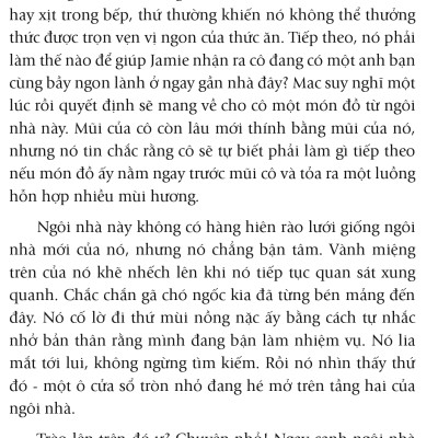 Nhân Duyên ... Mèo Định