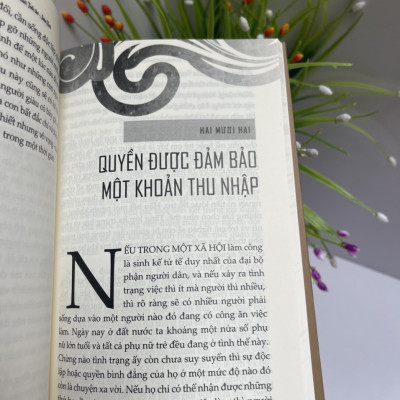THOÁT KHỎI TUỔI THƠ - Những nhu cầu và quyền của trẻ em - John Holt - Minh Khánh dịch –  Book Hunter – Nxb Đà Nẵng 