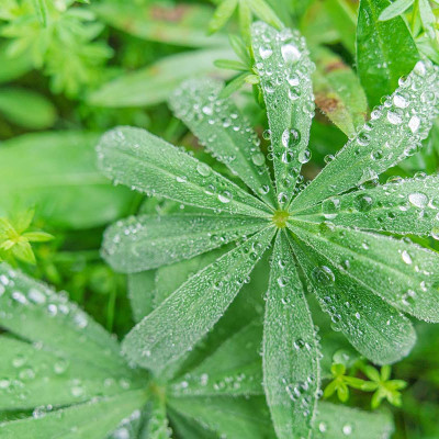 ống kính máy ảnh hiệu Tamron AF 20mm F/2.8 Di III OSD - cho Sony E (F050) - HÀNG CHÍNH HÃNG