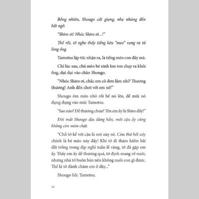 Căn Cứ Bí Mật Dưới Tán Rừng Mùa Hạ