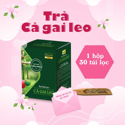 Trà cà gai leo túi lọc cà dây leo của siêu thị thiên nhiên