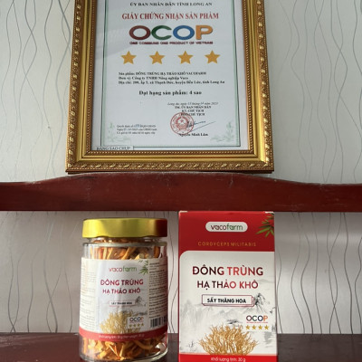Combo 3 Lọ khô 30gram Đông trùng hạ thảo sấy [Mua 2 được 3] lọ thủy tinh