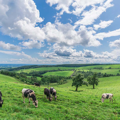 ống kính máy ảnh hiệu Tamron AF 20mm F/2.8 Di III OSD - cho Sony E (F050) - HÀNG CHÍNH HÃNG