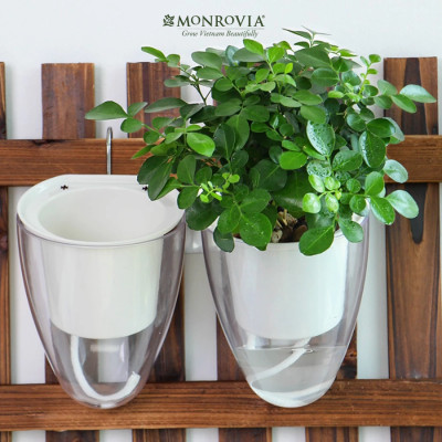 Chậu tự tưới treo tường K01 MONROVIA dành cho cây, hoa, decor không gian sống, văn phòng