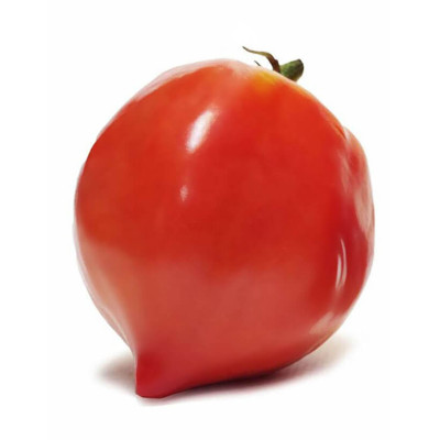 Hạt Giống Cà Chua Không Hạt Hữu Cơ Nhập Khẩu Minigarden (Túi từ 125 Hạt đến 250 hạt) Với Tỷ lệ nảy mầm cao, ít hạt lép