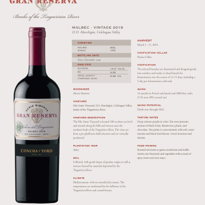 Rượu vang đỏ Chile Gran Reserva Malbec