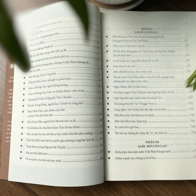 Giấc Mơ Việt Nam Tôi - Tập 2: Còn Mãi Hương Xa