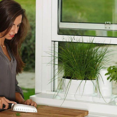 CHẬU TRỒNG RAU TỰ DƯỠNG NHẬP KHẨU CHÂU ÂU TỰ ĐỘNG TRONG 2 THÁNG, SỬ DỤNG 10 NĂM