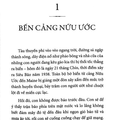 Phía Tây Có Đàn Hươu Cao Cổ - West With Giraffes