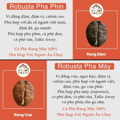 Cà phê Arabica cầu đất B