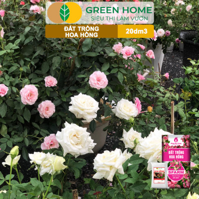 Đất Trồng Hoa Hồng Greenhome, Sfarm, Túi 4Kg, Hữu Cơ, Trộn Sẵn, Tiện Lợi, Đầy Đủ Dinh Dưỡng