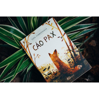 Sách - Cáo Pax (Nhã Nam)