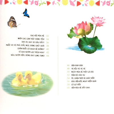 Em Yêu Thiên Nhiên Bốn Mùa - Mùa Hè - Ếch Kêu Râm Ran - ML