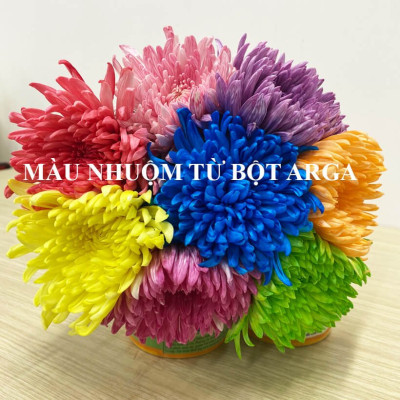 BỘT NHUỘM HOA NHẬP KHẨU ẤN ĐỘ (HỦ 110GR pha 12L nước nhuộm hoa tươi) gồm 8 màu cơ bản