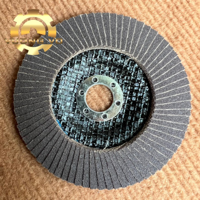 Nhám xếp Lionking-ráp xếp Lionking đường kính 100mm lỗ cốt 16mm (Gía đã bao gồm VAT)