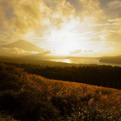 ống kính máy ảnh hiệu Tamron AF 20mm F/2.8 Di III OSD - cho Sony E (F050) - HÀNG CHÍNH HÃNG