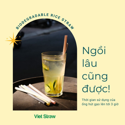 Mua 1 được 2 x Hộp 100 Ống hút gạo Φ6x200mm Nhiều Màu (Cafe, Nước trái cây, sữa)