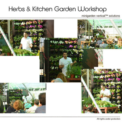 Khung Trồng Rau Đứng ban Công Minigarden Vertical Nhập Khẩu, Phong Cách Châu Âu (1m2 gồm 8 moduel Vertical,1 khay hứng nước) Chất liệu nhựa PP chống UV. Có Kèm Dây Tưới Nhỏ giọt tự động 100% với năng suất rau đạt gấp 3 lần bình thường