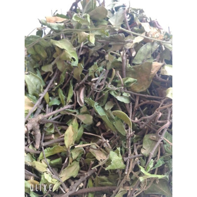 cây dây thìa canh túi 1kg