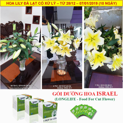 Chăm sóc hoa lâu tàn bằng bột dưỡng cho hoa cắt cành nhập khẩu Israel (Set 50 gói) giữ hoa lâu tàn gấp 2 lần bình thường và 14 ngày không thay nước mới