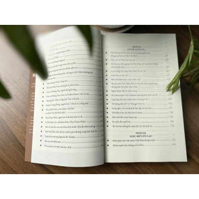 Sách Giấc Mơ Việt Nam Tôi - Tập 2: Còn Mãi Hương Xa - Alphabooks - BẢN QUYỀN