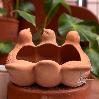Chậu 3 Chú Chim Gốm Đất Nung Trồng Sen Đá