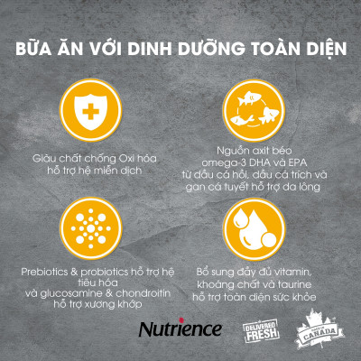 Thức Ăn Cho Chó Nhỏ Nutrience Infusion Bao 1kg - Thịt Gà, Rau Củ Và Trái Cây Tự Nhiên