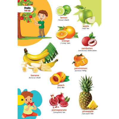 Sách - Combo Truyện Tranh Tư Duy Cho Bé + Bách Khoa Hình Ảnh Đầu Tiên Cho Bé Từ 0-6 Tuổi - Song Ngữ Việt Anh