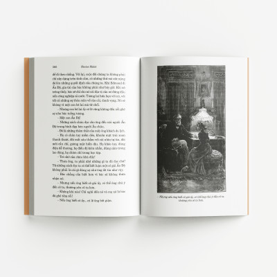 Combo 4 cuốn Văn học kinh điển dành cho thiếu nhi (Trong gia đình, Khu vườn bí mật, Tom Sawyer và Gia đình Robinson Thụy sĩ)