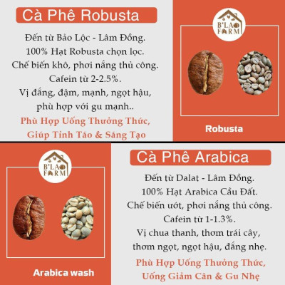 Cà phê Arabica cầu đất B
