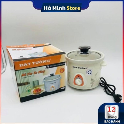 Nồi Kho Cá Bằng Điện Đạt Tường 4 Chế Độ Ruột Sứ Tráng Men Cao Cấp - Nồi Nấu Chậm, Hầm Cháo, Hầm Xương Đa Năng