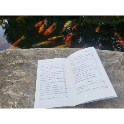 Sách Thuyết Tương Đối Giữa Tâm Và Não - Vĩnh Nghiêm Books