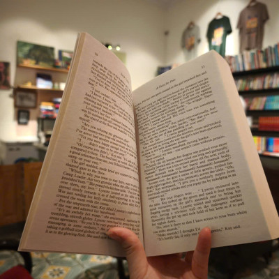 Sách - The Mammoth Book of Lesbian Erotica: New Edition (Mammoth Books) by Barbara Cardy