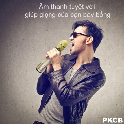 Micro karaoke kèm Loa bluetooth nhập khẩu cao Cấp Cắm thẻ nhớ 3 trong 1 Hàng chính hãng