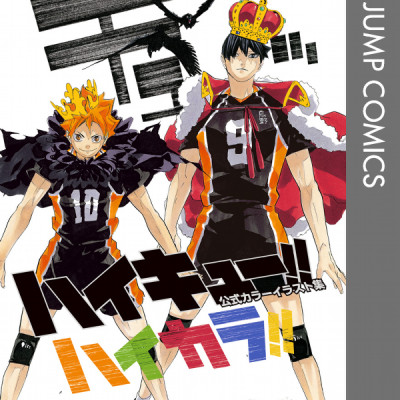ハイキュー！！公式カラーイラスト集ハイカ JEISHI HAIKYUU ! ! KOUSHIKI KARA IRASUTO