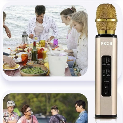 Micro karaoke kèm Loa bluetooth nhập khẩu cao Cấp Cắm thẻ nhớ 3 trong 1 Hàng chính hãng