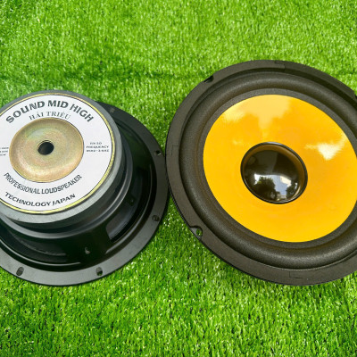 CỦ LOA BASS RỜI 20 TỪ LỚN HÀNG CHÍNH HÃNG HẢI TRIỀU COIL 38 TỪ 126 MÀN VÀNG (GIÁ 1 CÁI)