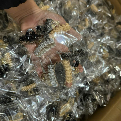 Set 4 Kẹp Tóc Bling Đính Đá Nhiều Màu, Dành Cho Tóc Siêu Xinh - HÀNG CHÍNH HÃNG MINIIN