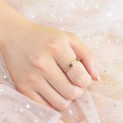 Nhẫn titan nữ thời trang cao cấp vạn lý trường thành thép không gỉ titanium trangsucpt 3 màu NNUT35